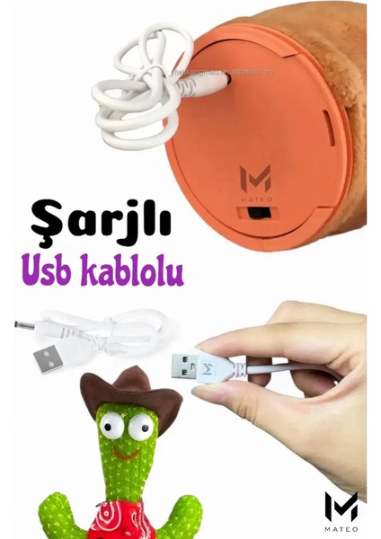 Auris Konuşan Dans Eden, Müzikli Işıklı Saksı Kaktüs Peluş Oyuncak