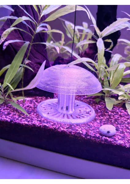 Akvaryum Salyangoz Tuzağı Şeffaf | Etkili Tuzak + Dekoratif Akvaryum Aksesuarı Jellyfish Model