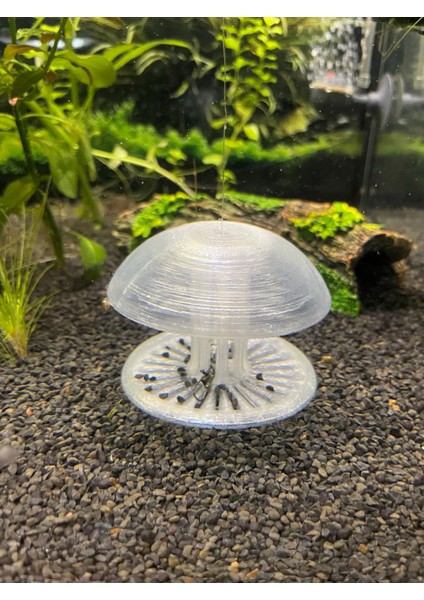 Akvaryum Salyangoz Tuzağı Şeffaf | Etkili Tuzak + Dekoratif Akvaryum Aksesuarı Jellyfish Model fiyatları