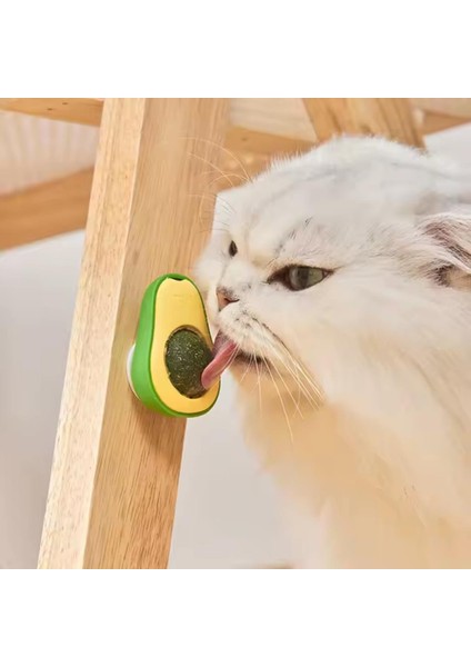 Doğal Kedi Nanesi Avokado Oyuncak 360° Döner Catnip & Kedi Çimi modelleri