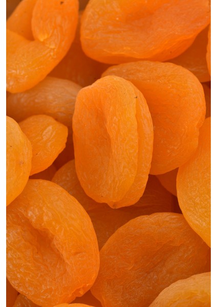 Sarı Kayısı_jumbo