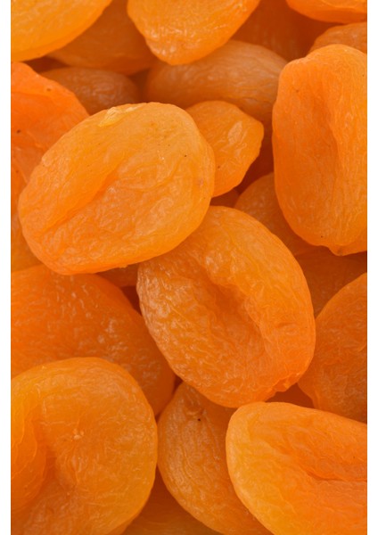 Sarı Kayısı_jumbo fiyatları