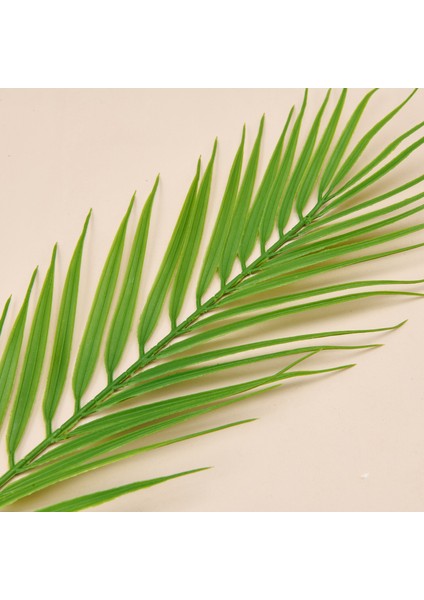 Areka Dal Çiçek - Yeşil - 50 cm modelleri