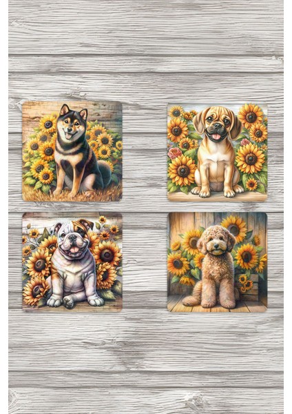 Sevimli Cins Köpekler Baskılı 4'lü Set Dekoratif Ahşap Kare Bardak Altlığı