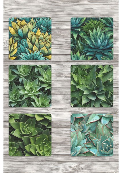 Aloe Vera Yaprakları No:2 Doğa Temalı Baskılı 6'lı Set Dekoratif Ahşap Kare Bardak Altlığı