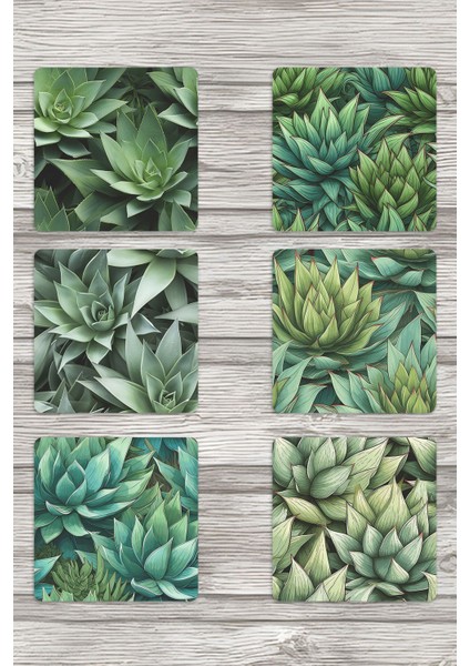 Aloe Vera Yaprakları Doğa Temalı Baskılı 6'lı Set Dekoratif Ahşap Kare Bardak Altlığı