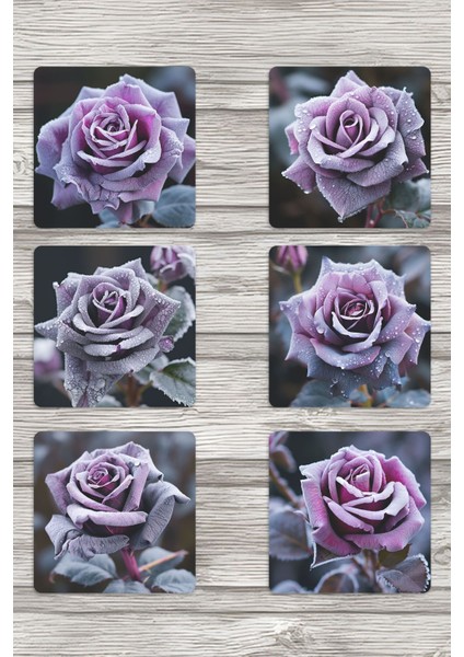 Donmuş Mor Güller Baskılı 6'lı Set Dekoratif Ahşap Kare Bardak Altlığı