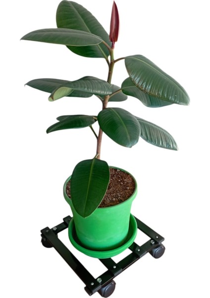 Metal Tasarım Tekerlekli Saksı Altlığı 30 cm Taşınabilir Hareketli Demonte Saksılık Damacanalık