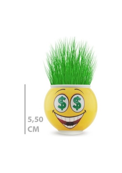 Emoji Figürlü Çim Adam Saksı Masaüstü Çim Yetiştirme Seti, Hazır Tohumlu, Hediye Paketli Çim Adam fiyatları