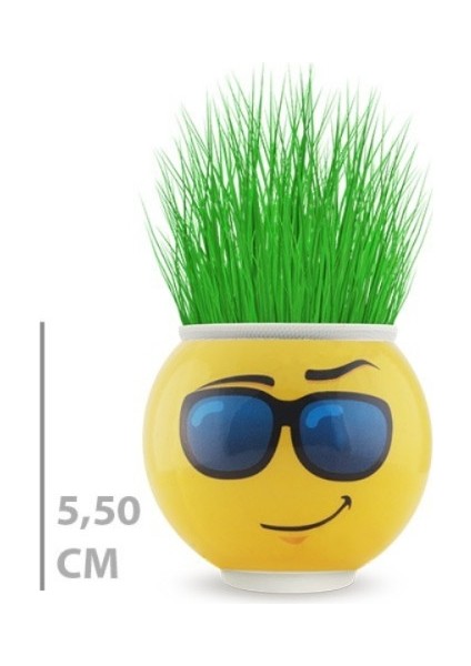 Emoji Figürlü Çim Adam Saksı Masaüstü Çim Yetiştirme Seti, Hazır Tohumlu, Hediye Paketli Çim Adam modelleri