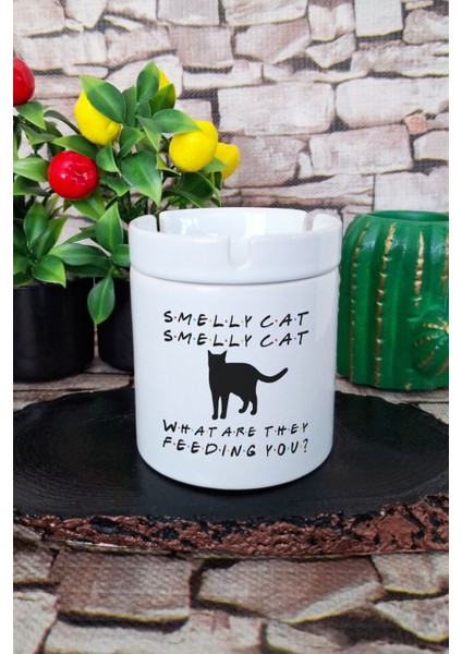 Smelly Cat Phoebe Buffay Friends Baskılı Seramik Kapaklı Kokusuz Küllük