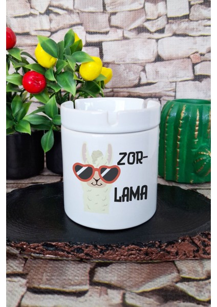 Zorlama-Lama Eğlenceli Komik Hediyelik Baskılı Seramik Kapaklı Kokusuz Küllük