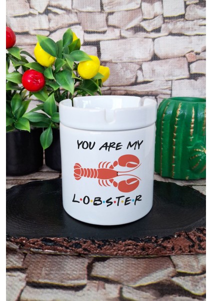 You Are My Lobster Friends Baskılı Seramik Kapaklı Kokusuz Küllük