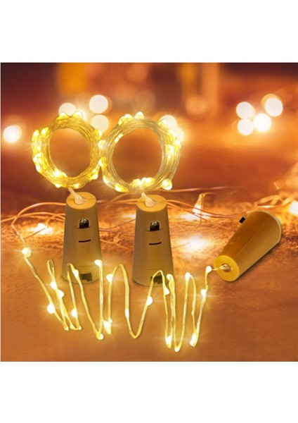 2 Metre Tıpa Çok Renkli Peri LED Pilli