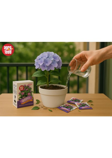 Saksı Gübresi - Ortanca Besleyen 10'lu Paket, Bitki Besini