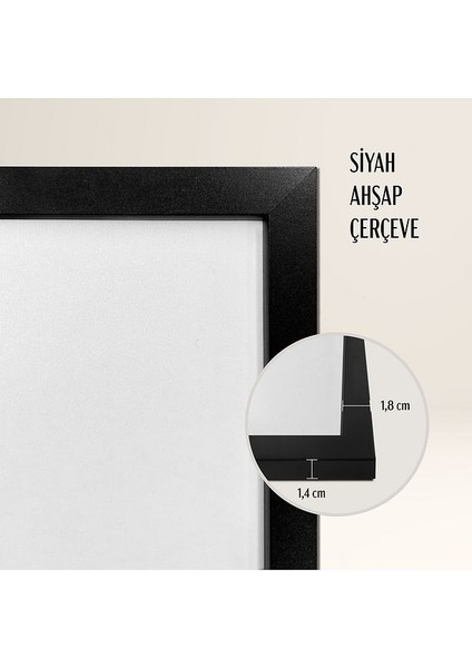 Tekli Ahşap Çerçeveli Tablo Tek Parça Poster Tablo TK/738