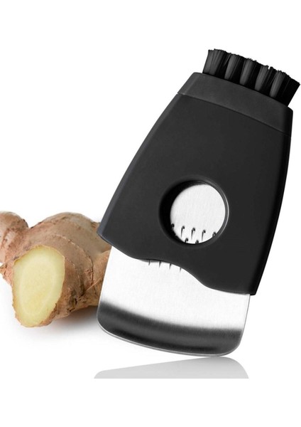 Zenzero Zencefil Rendesi fırsatları