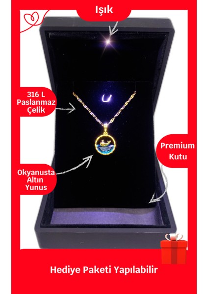Işıklı Premium Kutuda | Yunus Balığı Çelik Kolye | 316L Çelik - Kararmaz | Hediye Paketi
