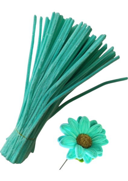 50 Adet Mint Yeşili Şönil, Eğitici Şönil Seti, Yoğun Tüylü Tel, 30 cm