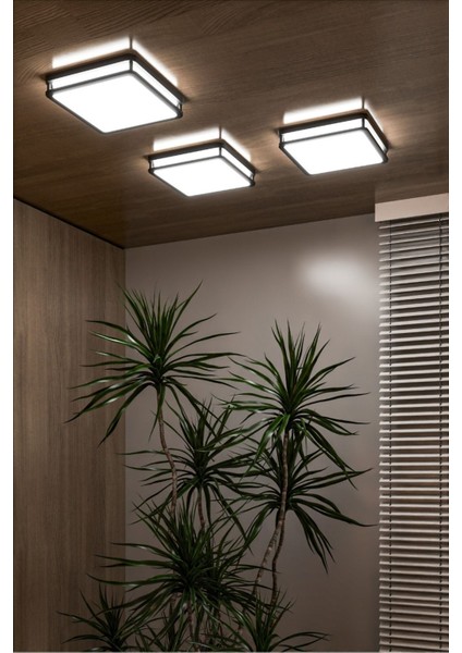 Sıva Üstü LED Armatür, Banyo, Balkon, Salon Tavan ve Duvar Armatürü 24WAT Beyaz