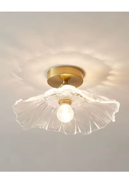 Luxury Classics Avize Şeffaf Camlı Avize Plafonyer Tavan Avize E-27 Duy