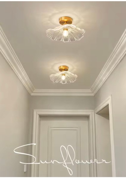Luxury Classics Avize Şeffaf Camlı Avize Plafonyer Tavan Avize E-27 Duy
