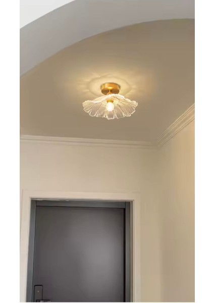 Luxury Classics Avize Şeffaf Camlı Avize Plafonyer Tavan Avize E-27 Duy