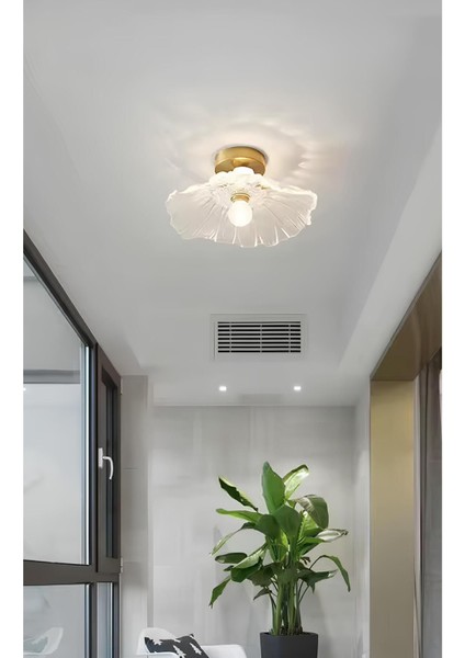 Luxury Classics Avize Şeffaf Camlı Avize Plafonyer Tavan Avize E-27 Duy