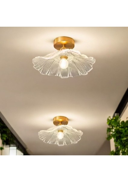 Luxury Classics Avize Şeffaf Camlı Avize Plafonyer Tavan Avize E-27 Duy