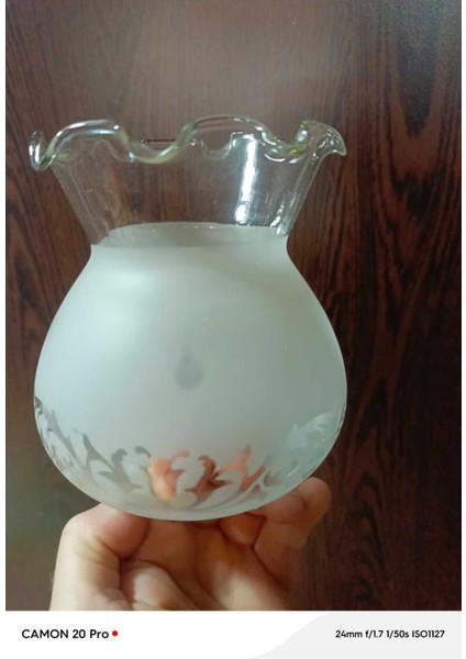 Fanus Avize Camı Mat Beyaz Hatalı Ürün(Boyu 14 Cm, Çapı 12 Cm) fiyatları