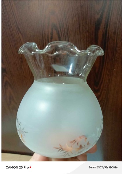 Fanus Avize Camı Mat Beyaz Hatalı Ürün(Boyu 14 Cm, Çapı 12 Cm) modelleri