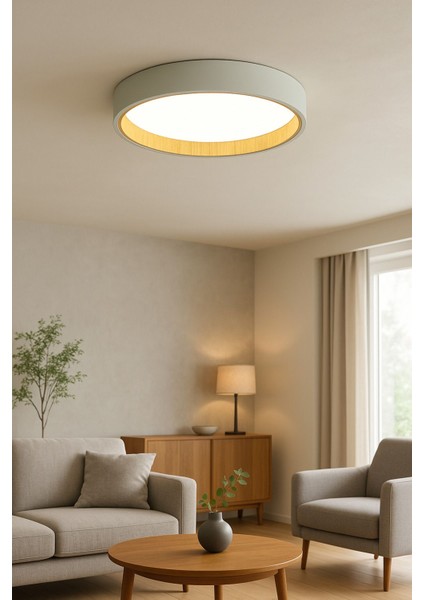 Manes Model Özel Tasarım 42 cm Büyük Boy Modern 3 Renk(Beyaz-Gün Işığı-Sarı) Plafonyer LED Avize fiyatları