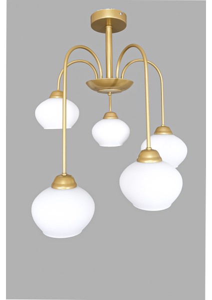 Dora 5 Li Avize Dekoratif Tasarım Modern Kollu Camlı Avize Oturma Odası Yemek Odası Salon