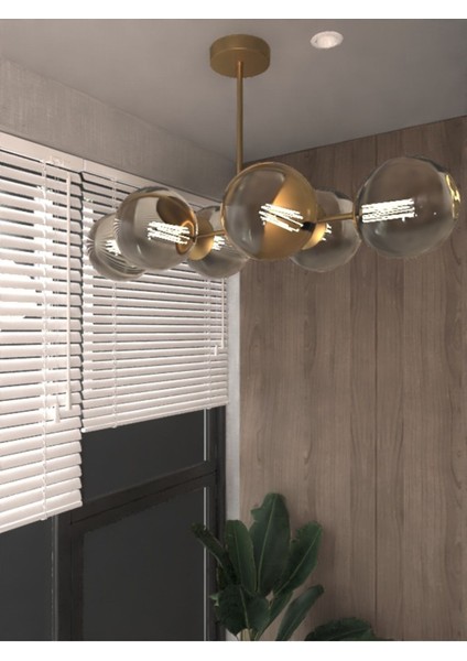 6'lü Glop Füme Rengi Cam Detaylı Modern Lüks Avize