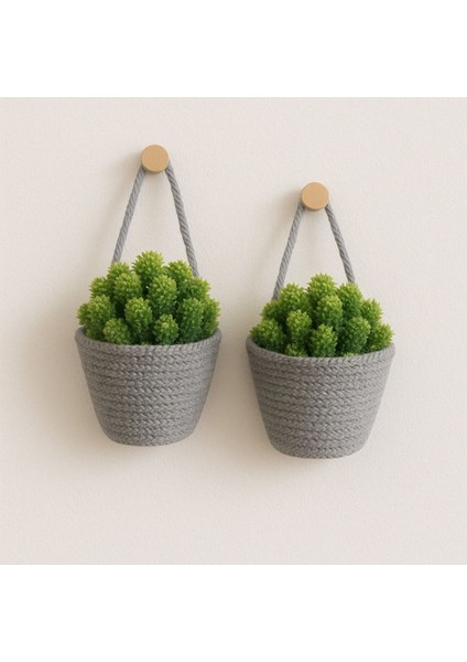 Şık 2'li Mini Sepet Çiçeklik ve Saksılık, Çok Amaçlı Dekorasyon, 12X10 cm