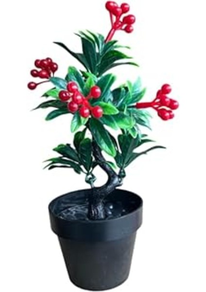 Bej Saksıda Kokina Yapay Çiçek Dekor Süs Bitkisi Huzur ve Şans Sembolü