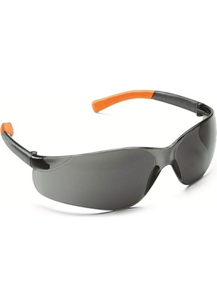 Antifog Korumalı Gözlük, Smoke Renk, Güvenli ve Konforlu Kullanım
