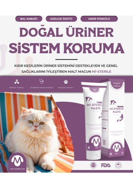 Mi-Sterile Paste Kısır Kedi Malt Macunu 100 gr fırsatları
