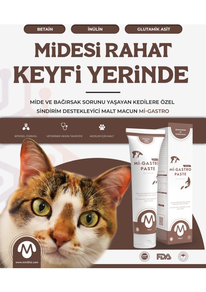 Mi-Gastro Paste Mide Malt Macunu 100 gr fırsatları
