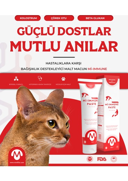 Mi-Immune Paste Immun Sistem Kedi Malt Macunu 100 gr fırsatları