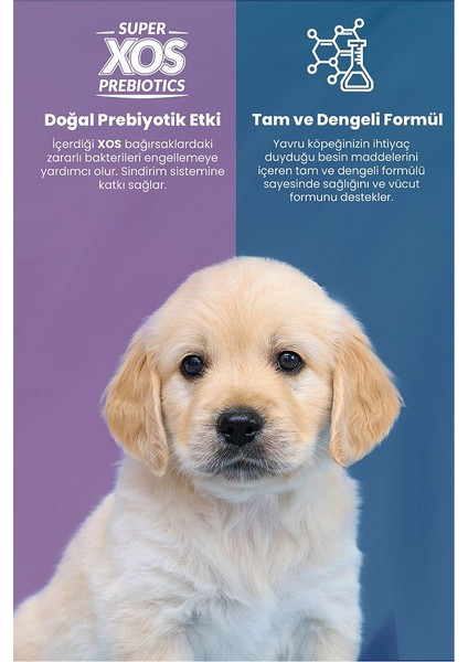 Plus Orta ve Büyük Irk Kuzulu ve Pirinçli Yavru Köpek Maması 3 kg modelleri