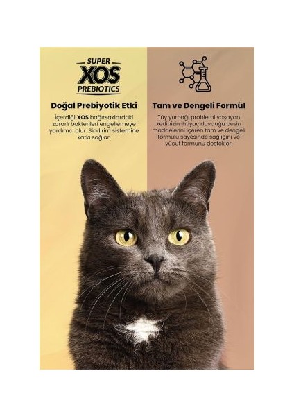 Plus Hairball Somonlu 1.5 kg Yetişkin Kedi Maması modelleri