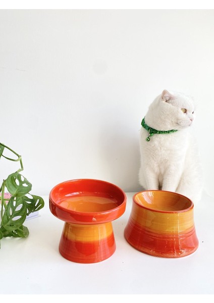Renkli Seramik Kedi ve Köpek Mama Su Kabı Çift Seti fiyatları
