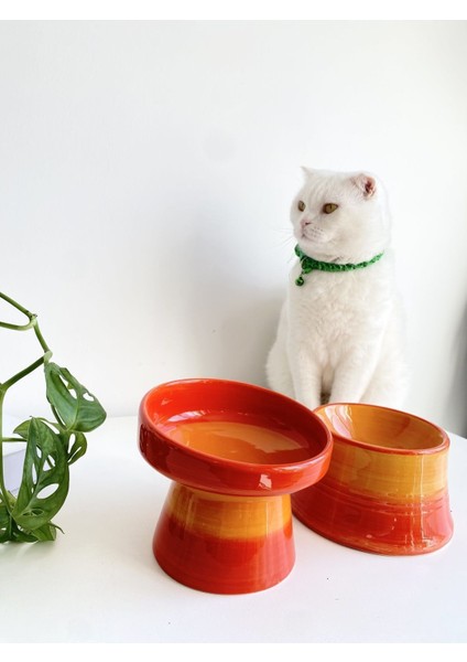 Renkli Seramik Kedi ve Köpek Mama Su Kabı Çift Seti modelleri