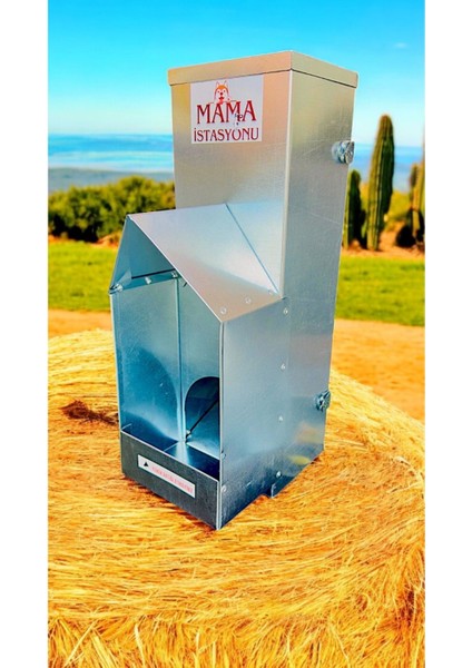 Gri Kedi Mama Istasyonu 4 Kg, Şık ve Kullanışlı Tasarım modelleri