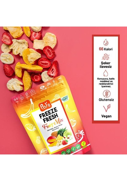 Dondurularak Kurutulmuş Fruit Mix 20 gr