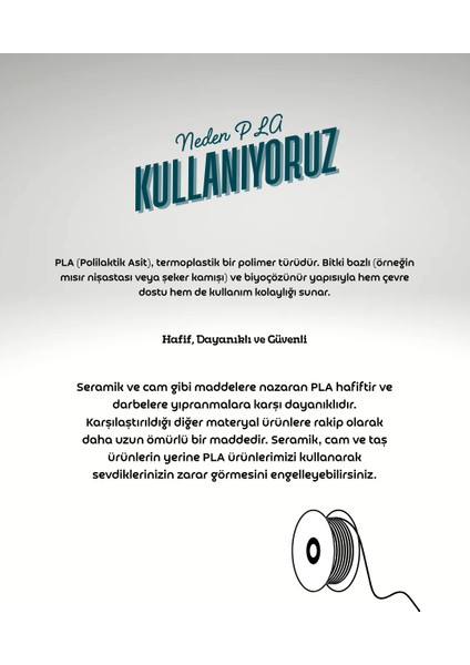 Modern Örümcek Ağı Tasarımlı Kafa Biblo – 3D Geometrik Sanat