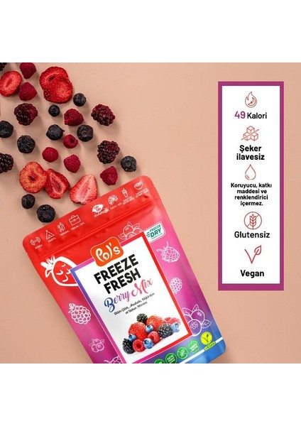 Dondurularak Kurutulmuş Berry Mix 16 gr