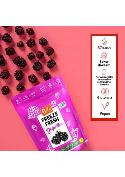 Pol’s Freeze Fresh Dondurularak Kurutulmuş Böğürtlen 20 gr