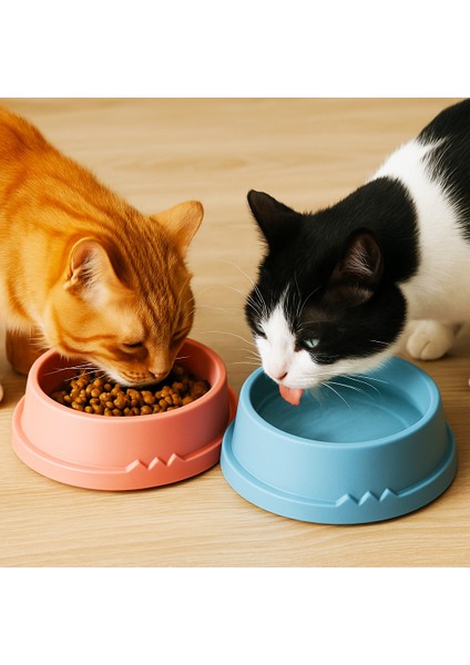 Kedi Kulaklı Mama Su Kabı - 1 Adet modelleri